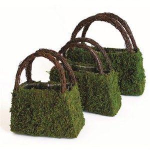 Moss Planters
