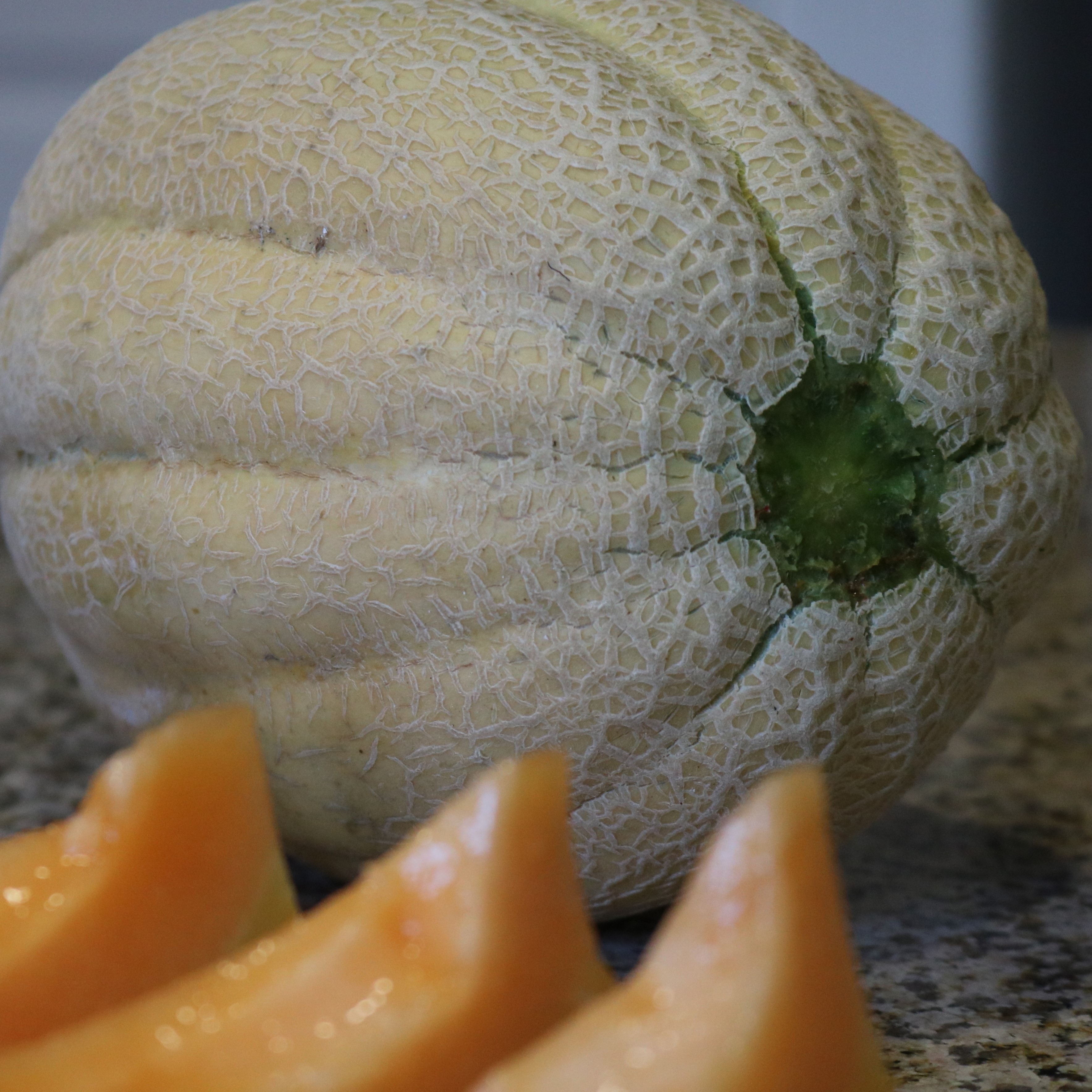 Cantaloupe Seed Griffin Greenhouse Supplies