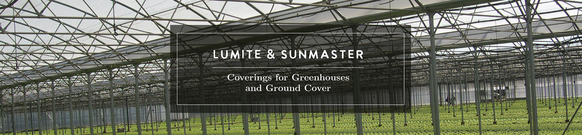 Test Campaign for New Site #D;