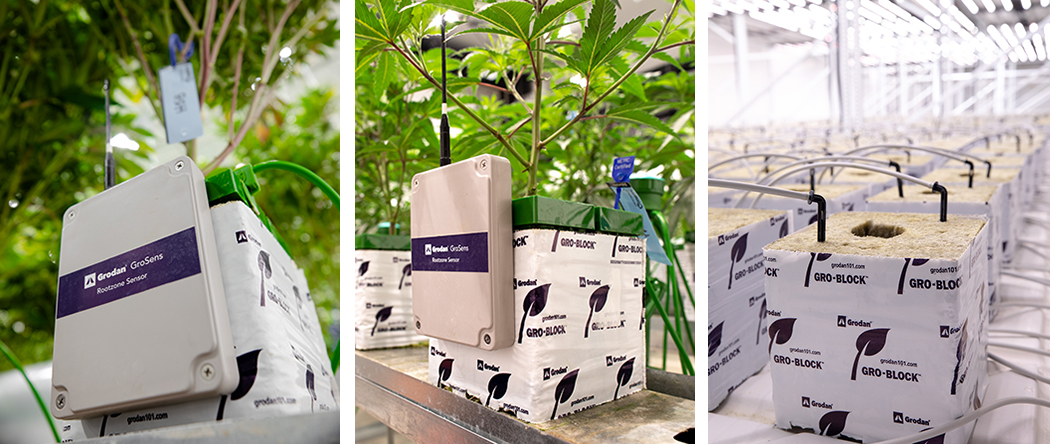 Gro Block Growing System Griffin Greenhouse Supplies